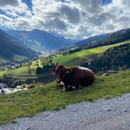 Apartment Genieten In Saalbach, Alpenresort D1 By Droomvilla Saalbach