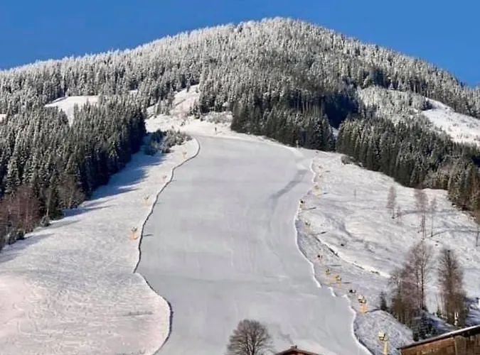 Daire Genieten In Saalbach, Alpenresort D1 By Droomvilla Saalbach-Hinterglemm