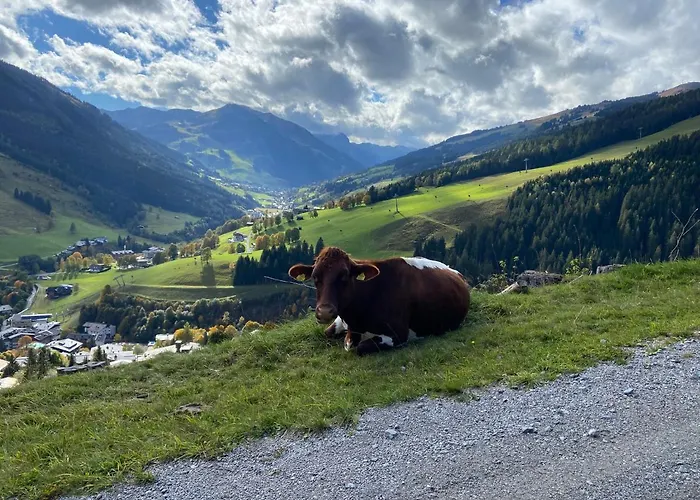 Daire Genieten In Saalbach, Alpenresort D1 By Droomvilla Saalbach-Hinterglemm